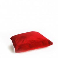 Kussen, rood pluche