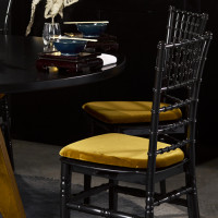 Stoel Napoleon zwart, kunststof, gouden zitting Stoel Napoleon zwart, kunststof, gouden zitting