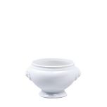 Leeuwenkopje boterpot, klein