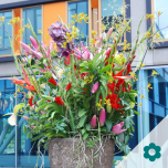 Eyecatcher EXCLUSIEF