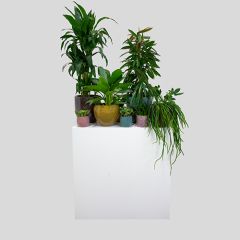 Stoel Raw, met bruin lederen zitting 