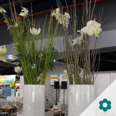 Stoel Raw, met bruin lederen zitting 